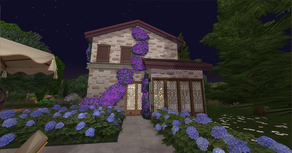 Image de présentation