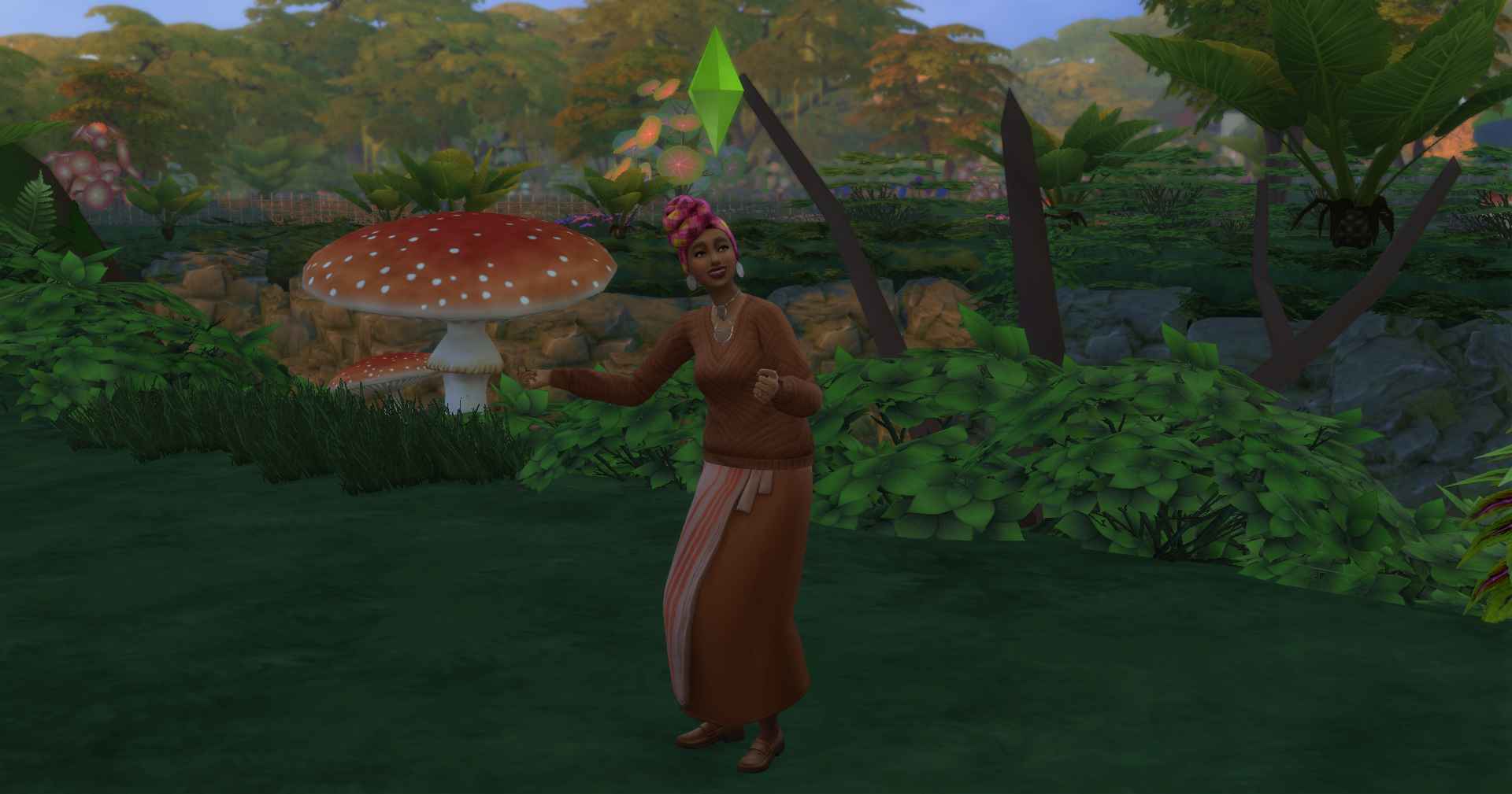 Image de présentation