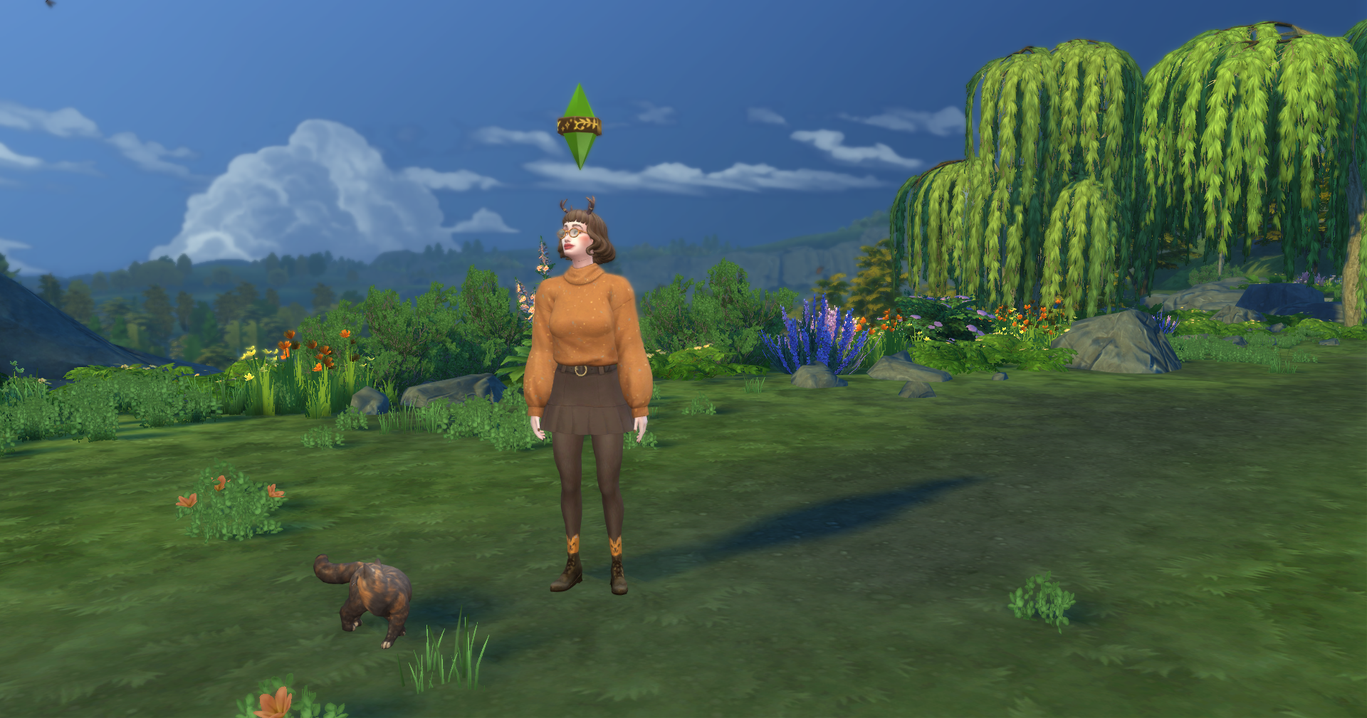 Image de présentation