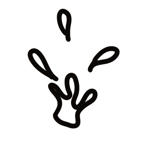 pictogramme